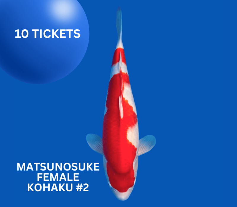 10 TICKETS MATSUNOSUKE KOHAKU COMPETITION